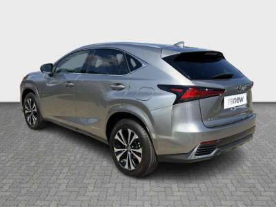 Lexus NX Serie NX 300h Design — Imagine 3