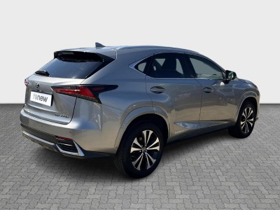 Lexus NX Serie NX 300h Design — Imagine 5