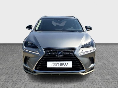 Lexus NX Serie NX 300h Design — Imagine 8