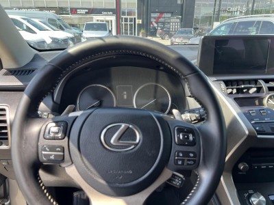 Lexus NX Serie NX 300h Design — Imagine 10