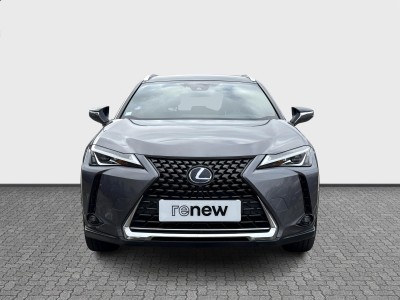 Lexus UX Executive — Imagine 8