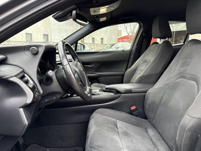 Lexus UX Executive — Imagine 13