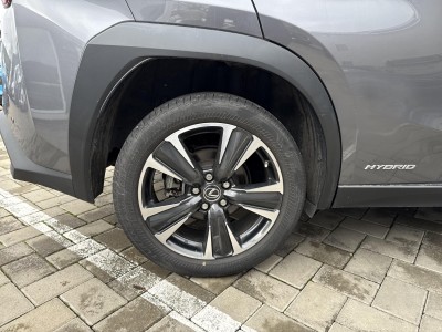 Lexus UX Executive — Imagine 16