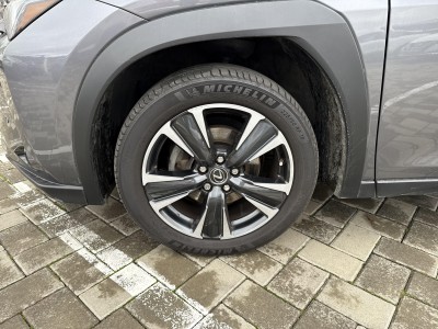 Lexus UX Executive — Imagine 19