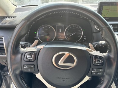 Lexus NX — Imagine 10