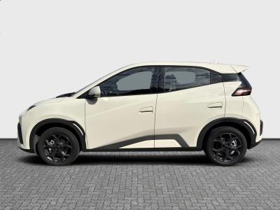 BYD Dolphin Surf — Imagine 2