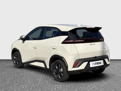 BYD Dolphin Surf — Imagine 3