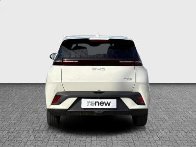 BYD Dolphin Surf — Imagine 4