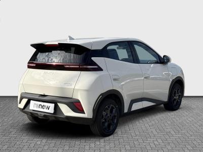 BYD Dolphin Surf — Imagine 5