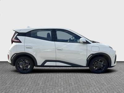 BYD Dolphin Surf — Imagine 6