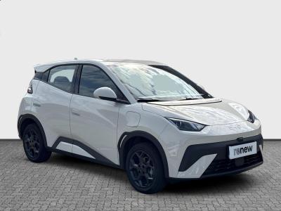 BYD Dolphin Surf — Imagine 7