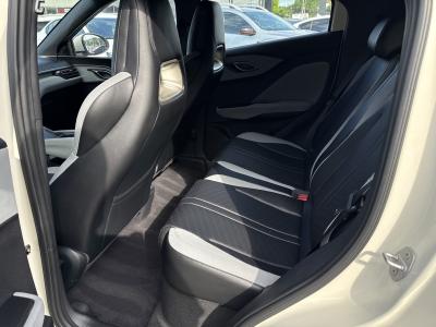 BYD Dolphin Surf — Imagine 14