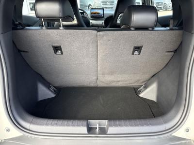 BYD Dolphin Surf — Imagine 15